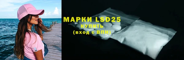 PSILOCYBIN Алзамай