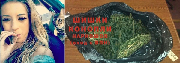 PSILOCYBIN Билибино