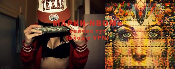 PSILOCYBIN Алзамай