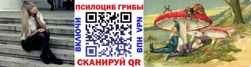 Галлюциногенные грибы Psilocybe  Зеленоградск 